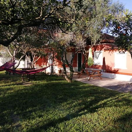 Casa Das Laranjeiras E Parque Infantil Azeitao Exteriör bild