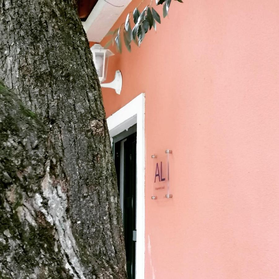 Casa Das Laranjeiras E Parque Infantil Azeitao Exteriör bild