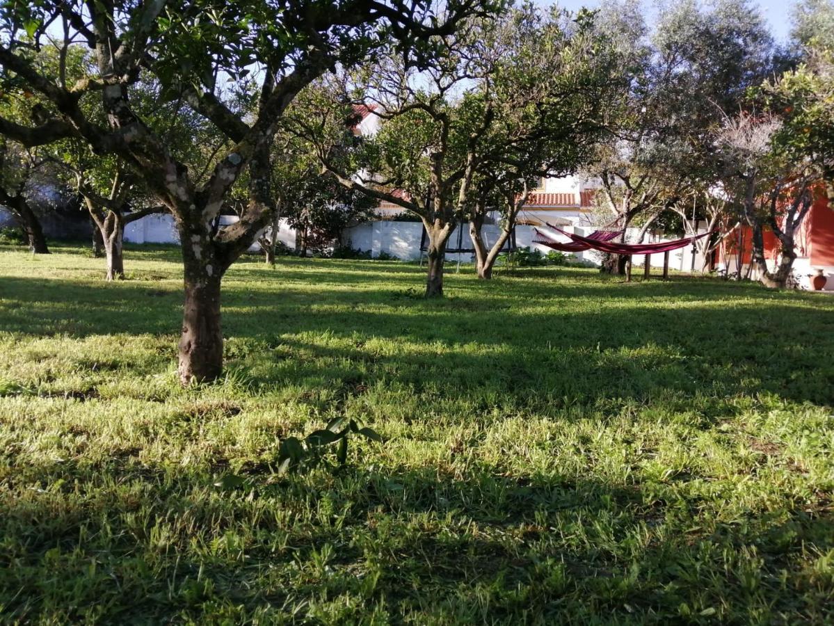 Casa Das Laranjeiras E Parque Infantil Azeitao Exteriör bild