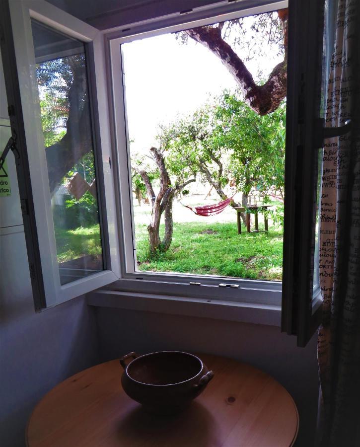 Casa Das Laranjeiras E Parque Infantil Azeitao Exteriör bild