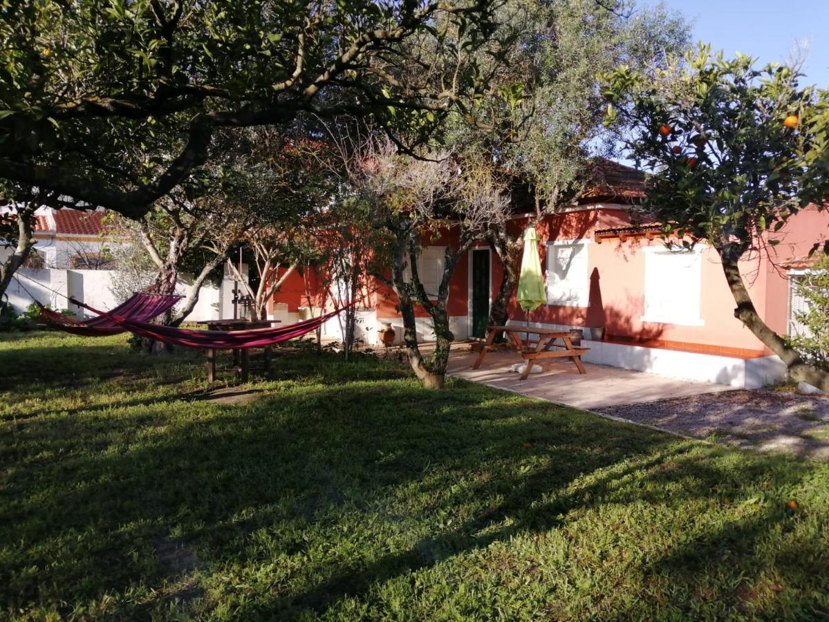 Casa Das Laranjeiras E Parque Infantil Azeitao Exteriör bild
