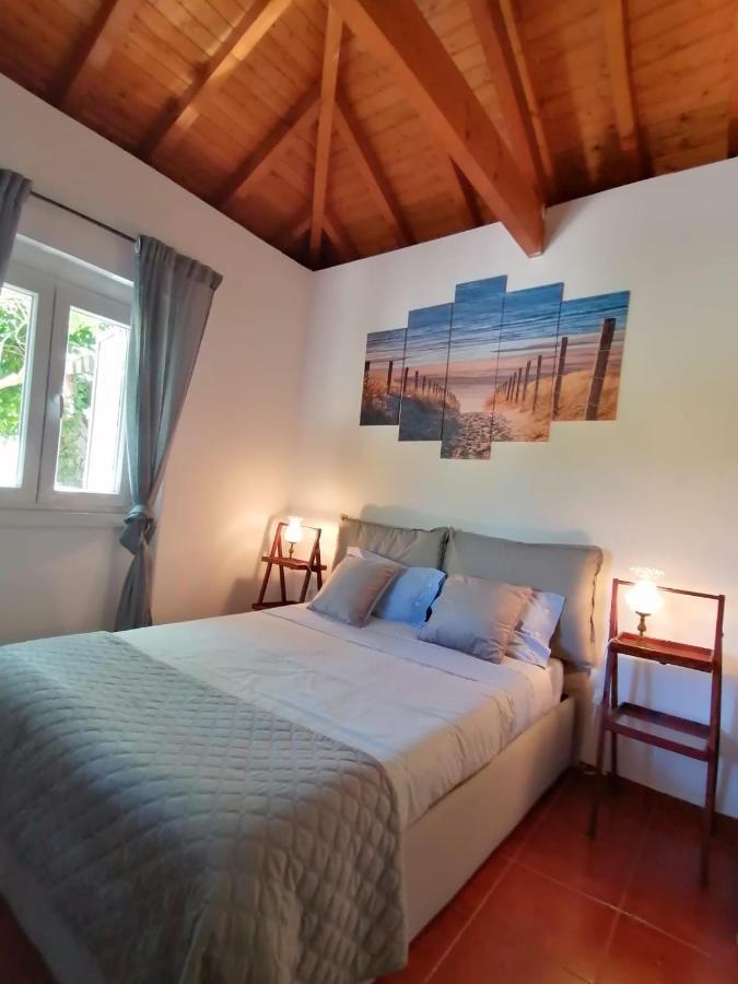 Casa Das Laranjeiras E Parque Infantil Azeitao Exteriör bild
